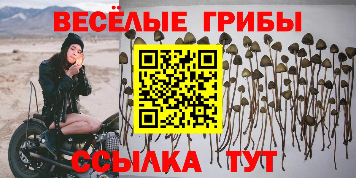 Темрюк  Галлюциногенные грибы ЛСД  Вход с VPN 